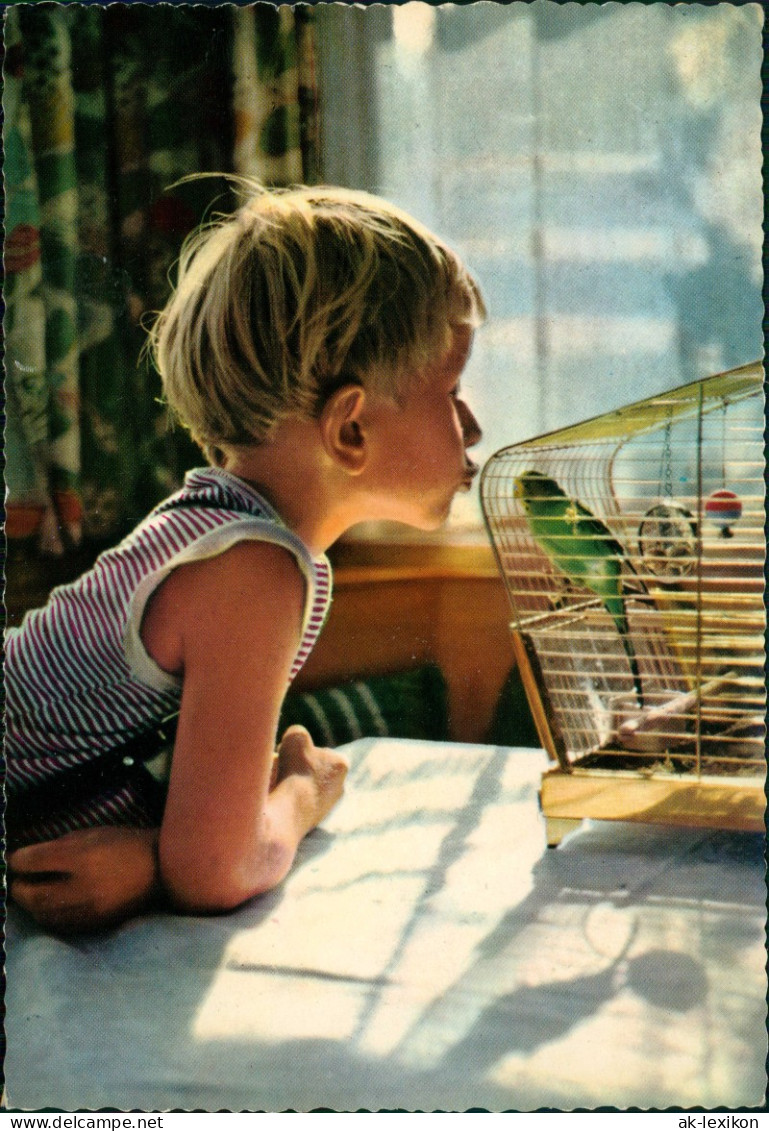 Menschen Soziales Leben (Kinder) Kind Junge Vor Vogel-Käfig (Wellensitich) 1970 - Abbildungen