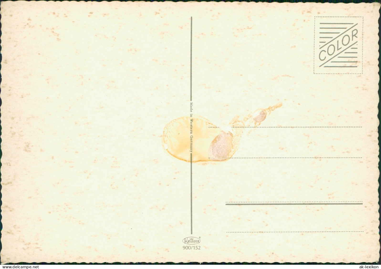 Menschen Soziales Leben (Kinder) Kind Junge Vor Vogel-Käfig (Wellensitich) 1970 - Portretten