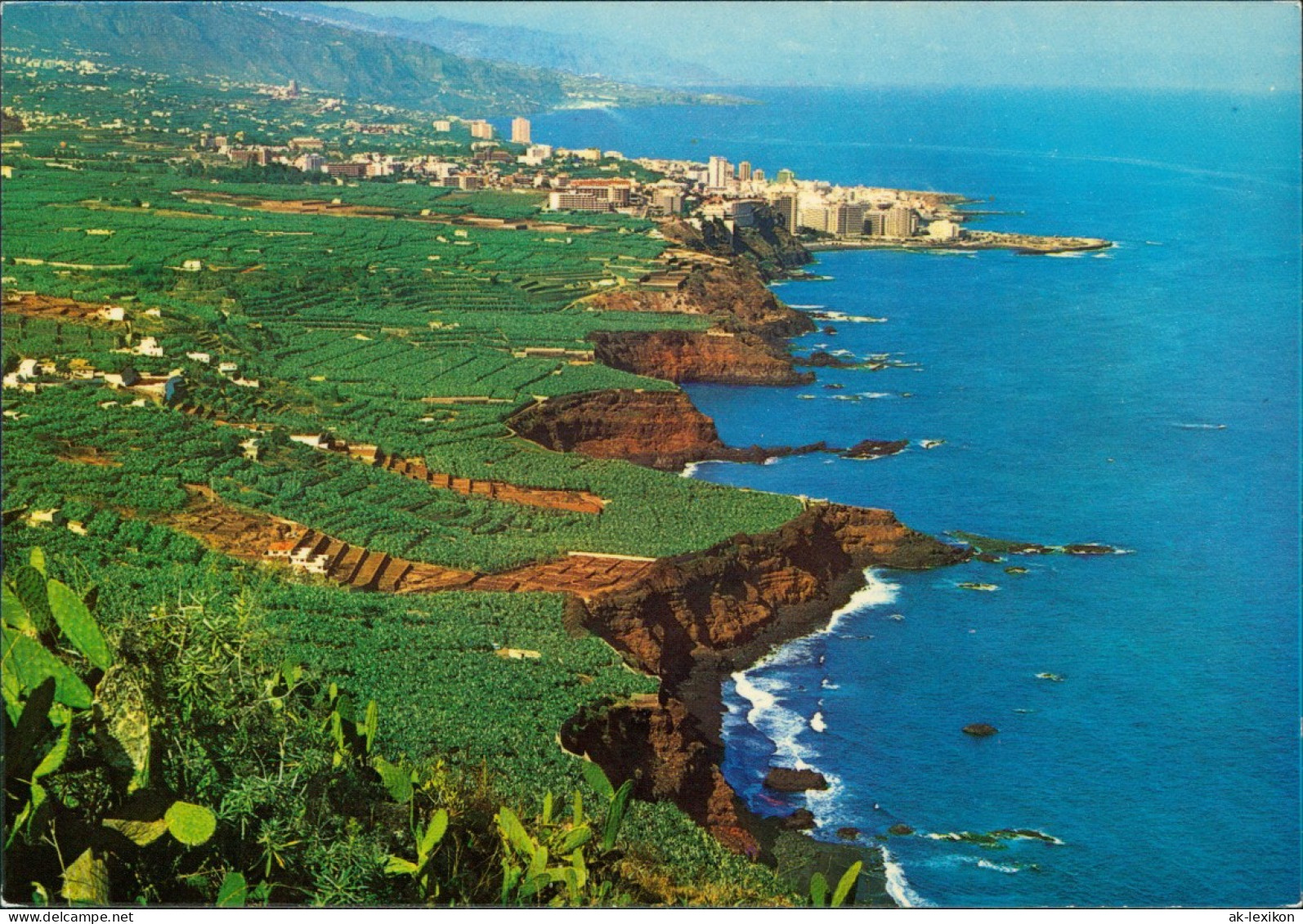 Postales .Teneriffa VALLE DE LA OROTAVA (Tenerife) Landschaft 1970 - Sonstige & Ohne Zuordnung