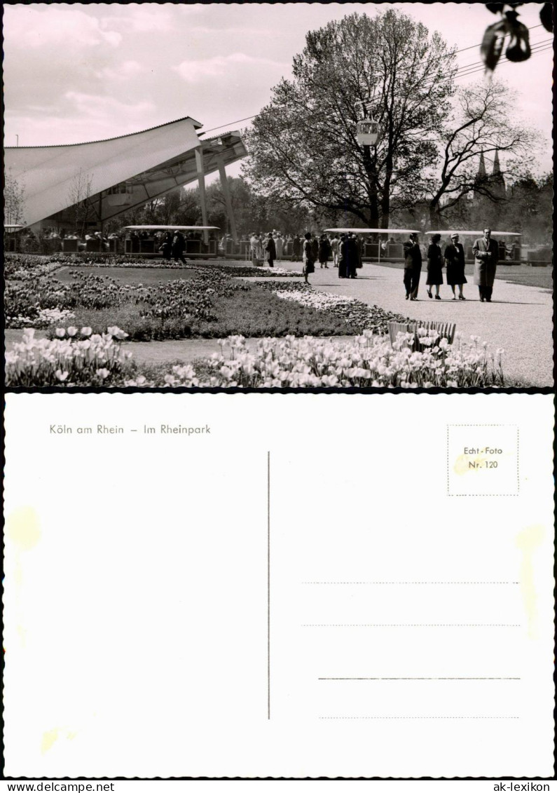 Ansichtskarte Köln Rheinpark Mit Gondelbahn, Park-Besuchter 1960 - Köln