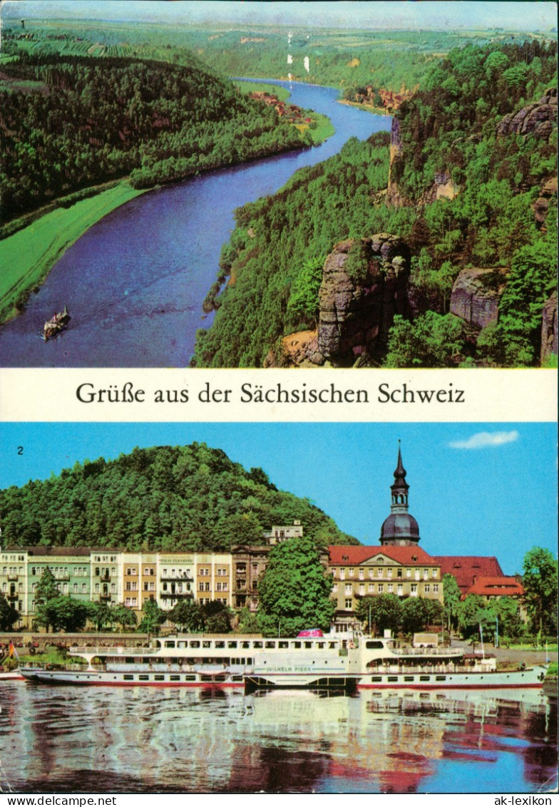 Bad Schandau Blick Von Der Basteiaussicht, Schaufelradschiff Wilhelm Pieck 1981 - Bad Schandau