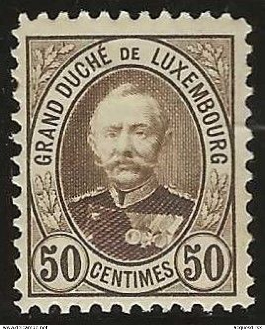 Luxembourg  .  Y&T .   65     .   **    .    Neuf Avec Gomme Et SANS Charnière - 1891 Adolphe De Face