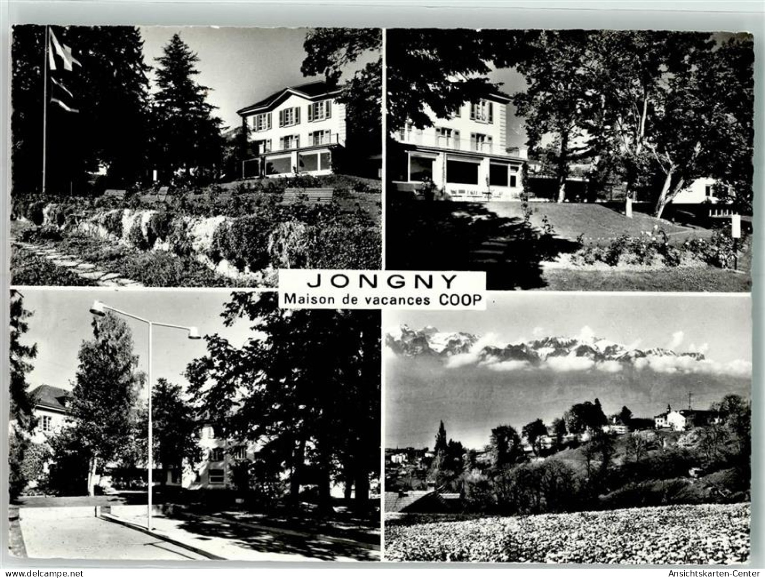 39695508 - Jongny - Andere & Zonder Classificatie