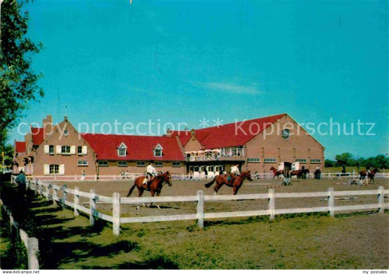 72929024 Zoute Knokke Manege Reitsportanlage Springplatz  - Other & Unclassified