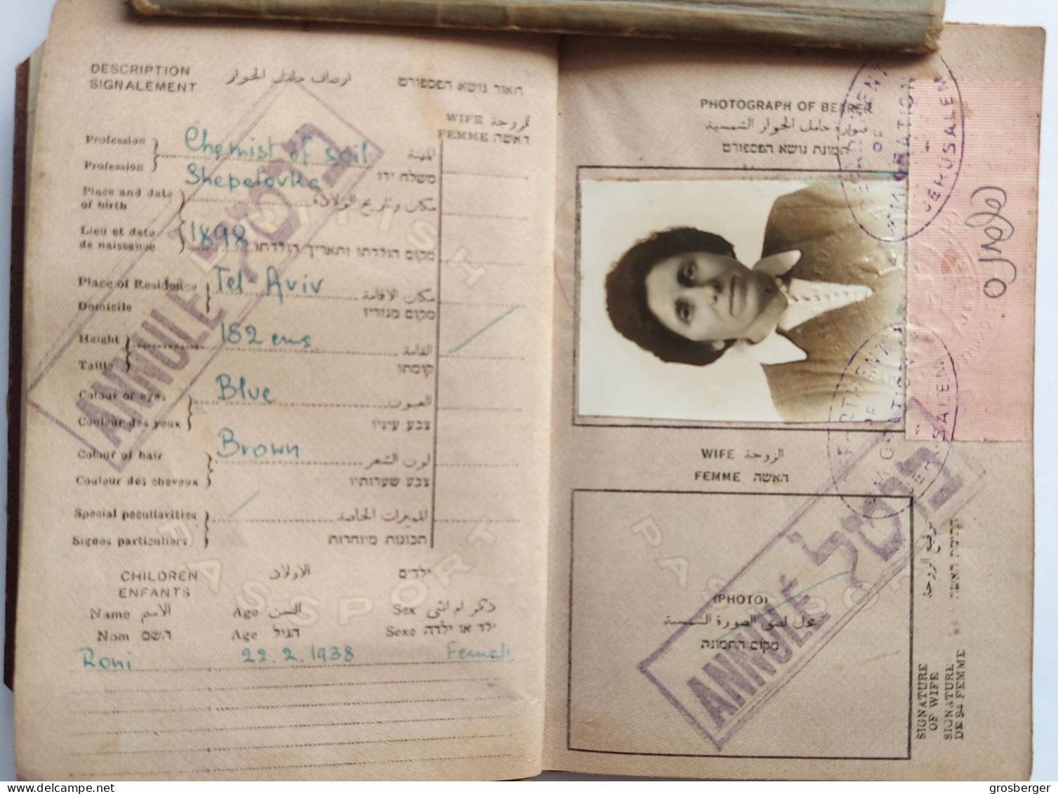 Juive Juif British Passport Palestine 1945 Validity In Consul New-York 1949 Entrance Visa To Israel Rare Judaika - Historische Documenten