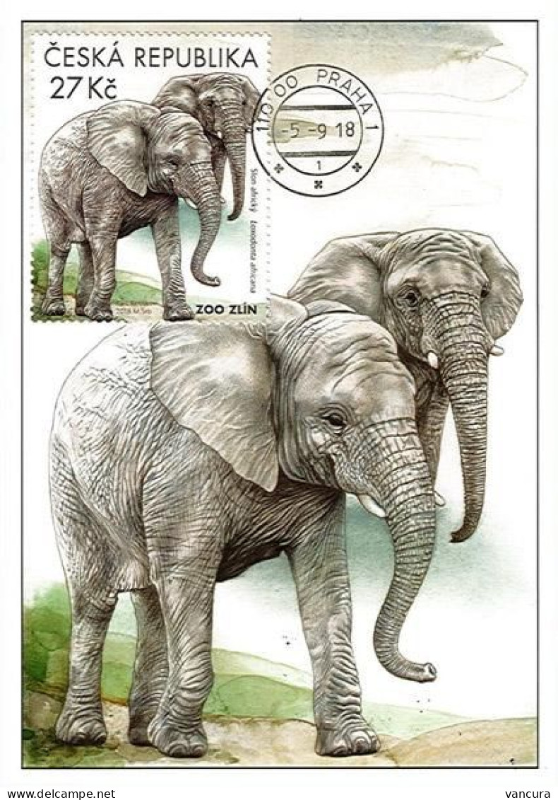 CM 991 - 994 Czech Rep. Nature Protection: Zoological Gardens III 2018 Elephamt Orangutan Bear Hippo Monkey - Autres & Non Classés