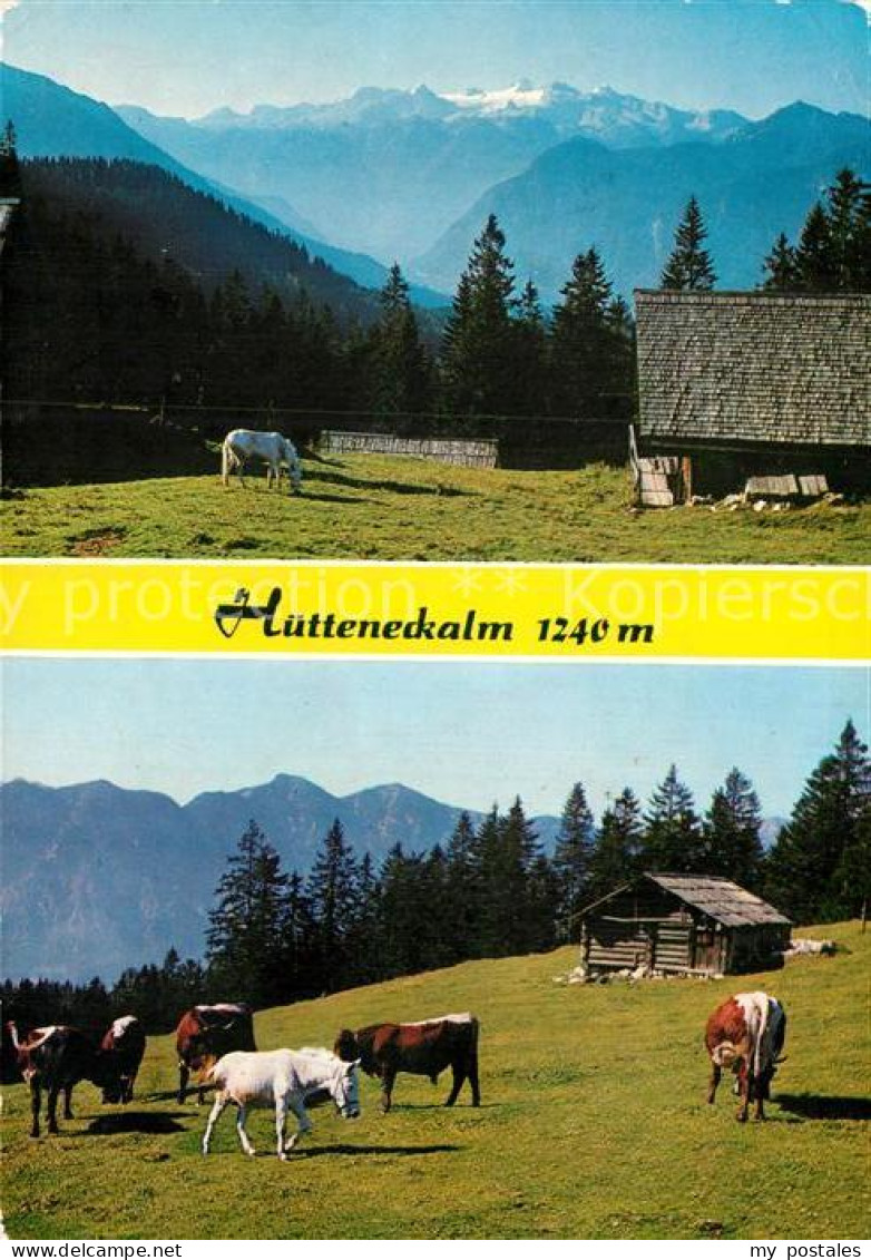 72927756 Bad Goisern Salzkammergut Alpengasthaus Huetteneckalm Almvieh Kuehe Alp - Andere & Zonder Classificatie