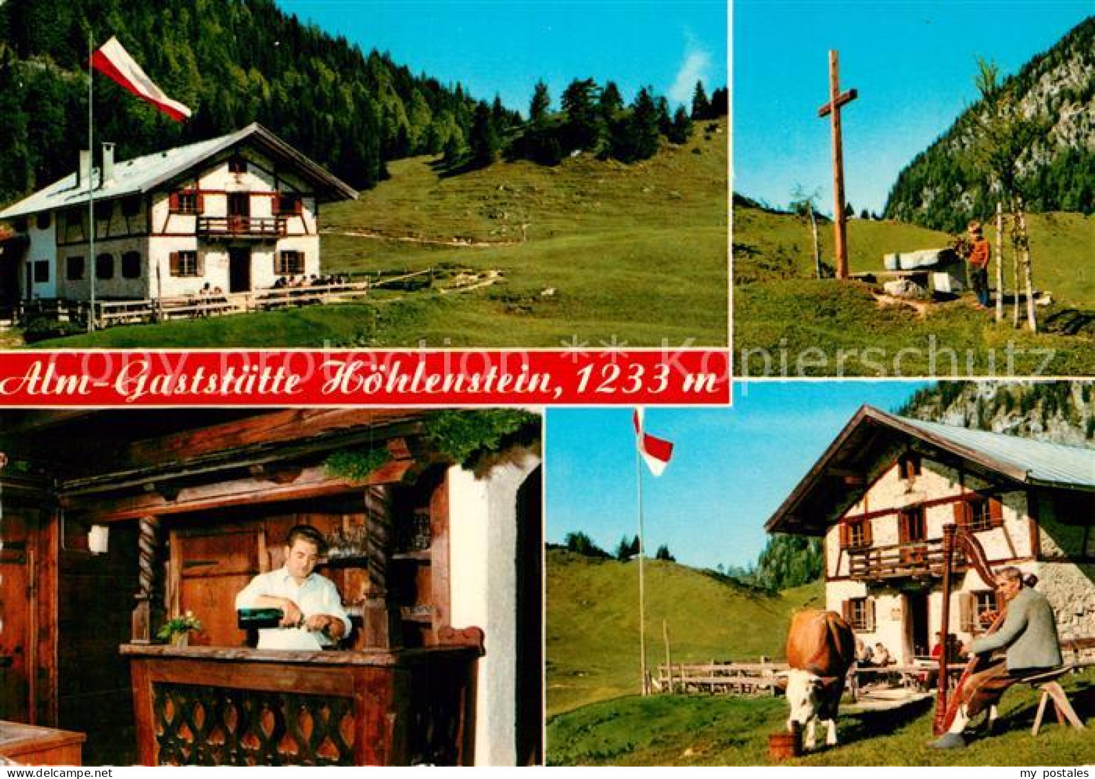 72927750 Woergl Tirol Alm Gaststaette Hoehlenstein Gipfelkreuz Almvieh Kuh Woerg - Autres & Non Classés