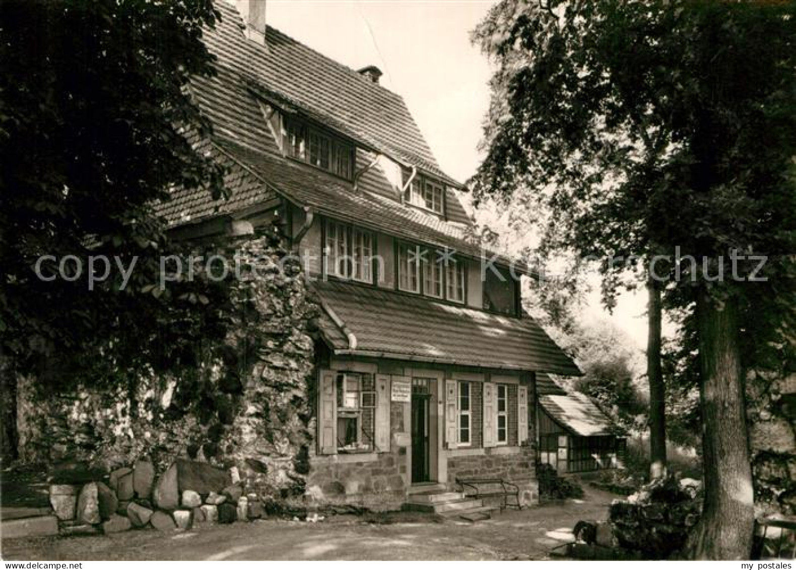 72927503 Neustadt Harz Berggasthaus Ruine Hahnstein Neustadt Harz - Autres & Non Classés