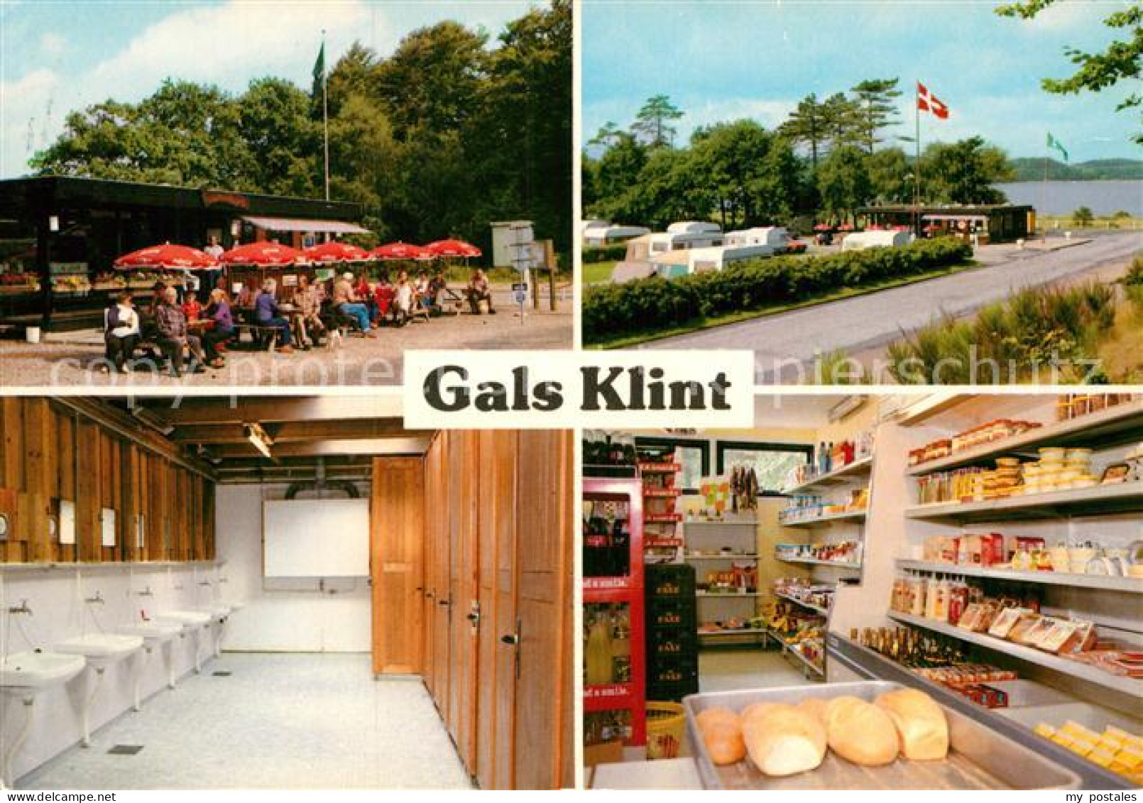 72926997 Middelfart Gals Klint Camping  Daenemark - Danemark