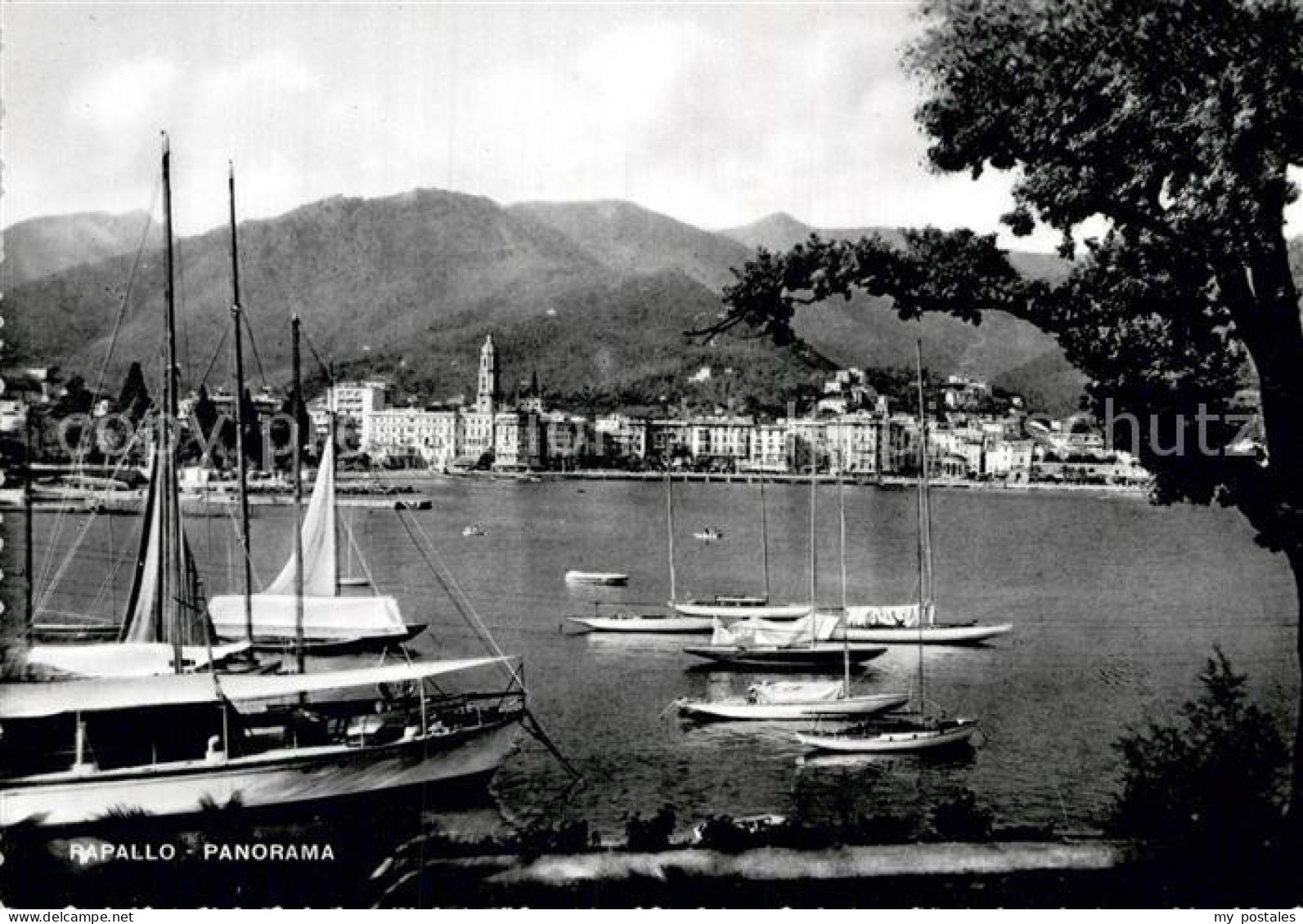 72926773 Rapallo Panorama Hafen Berge Rapallo - Other & Unclassified