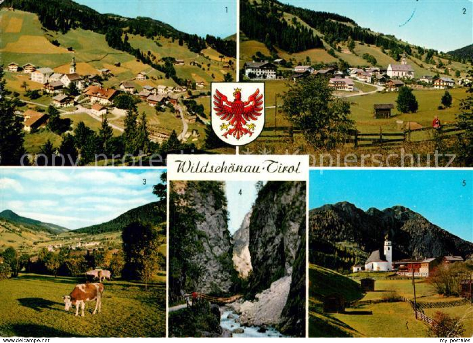 72926183 Wildschoenau Tirol Auffach Oberau Niederau Kundler Klamm Thierbach Wild - Autres & Non Classés