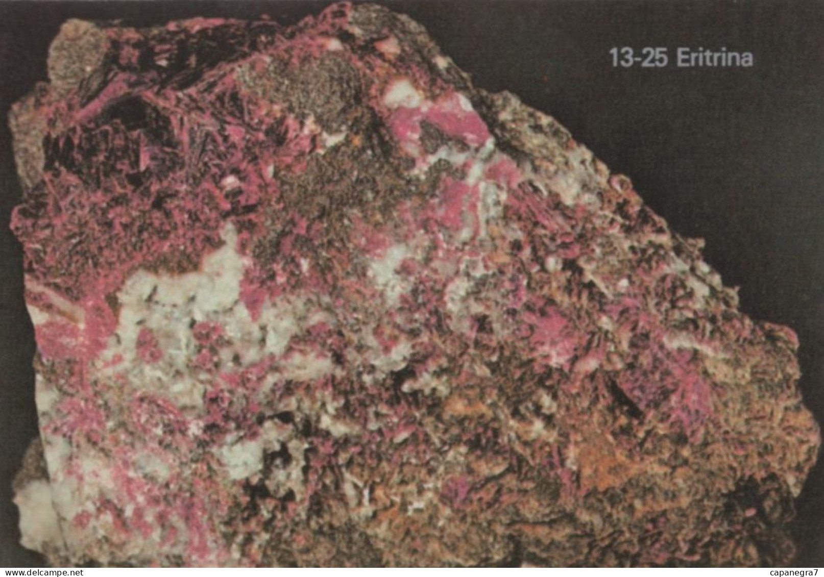 Eritrin, Mineral, Portugal, 1989, 90 X 65 Mm - Groot Formaat: 1981-90