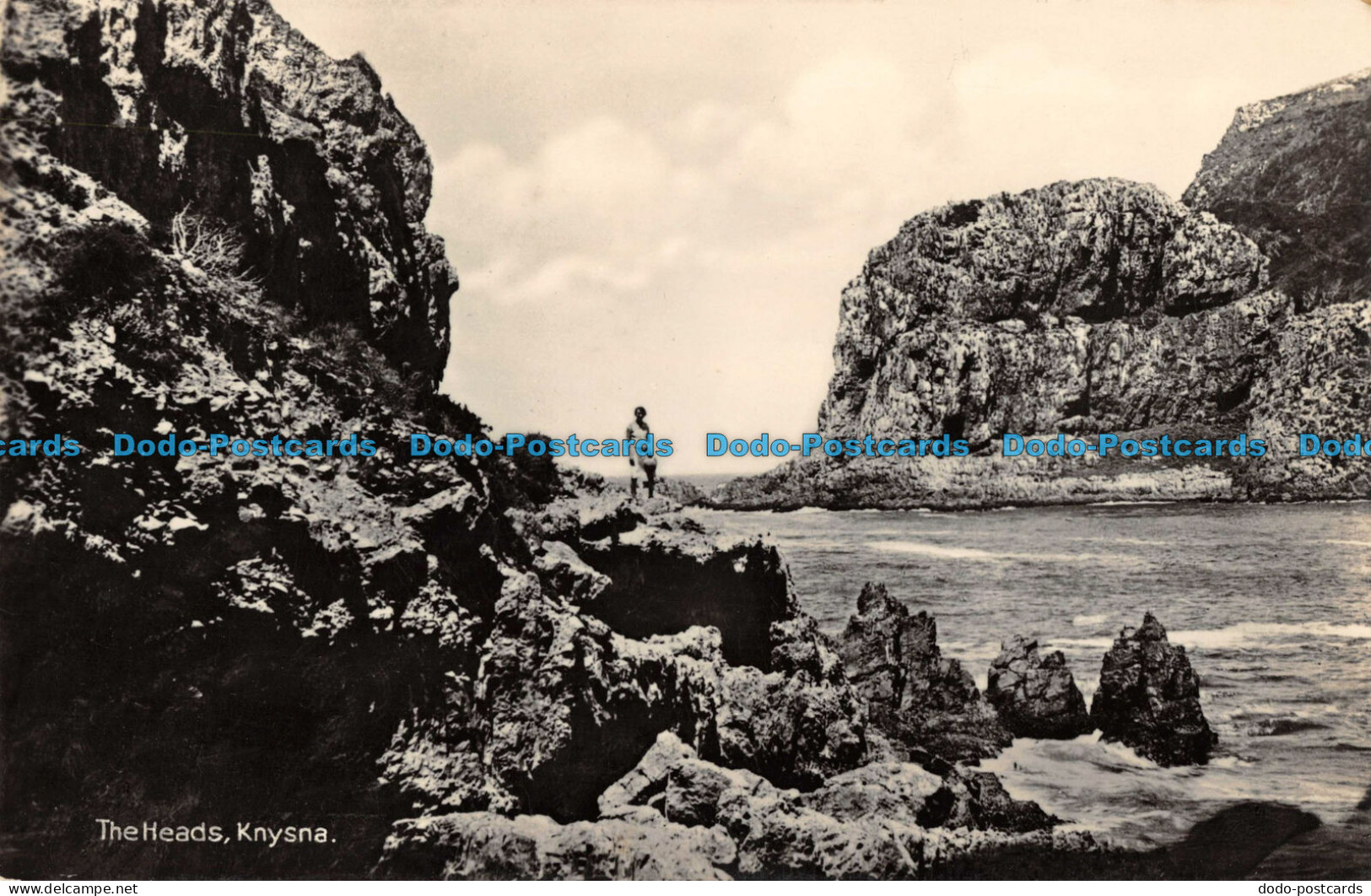 R087044 The Heads. Knysna. The Newman Art Publishing. RP - Wereld