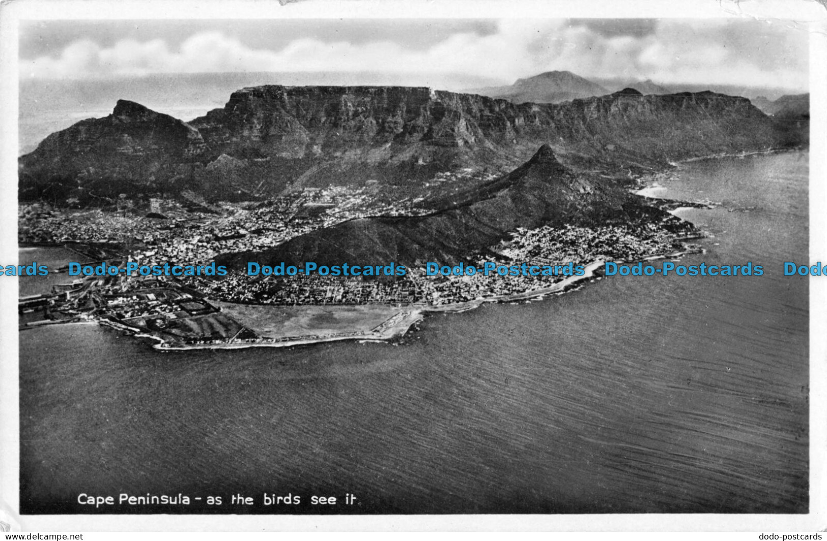 R087048 Cape Peninsula As The Birds See It. The Newman Art Publishing. RP - World