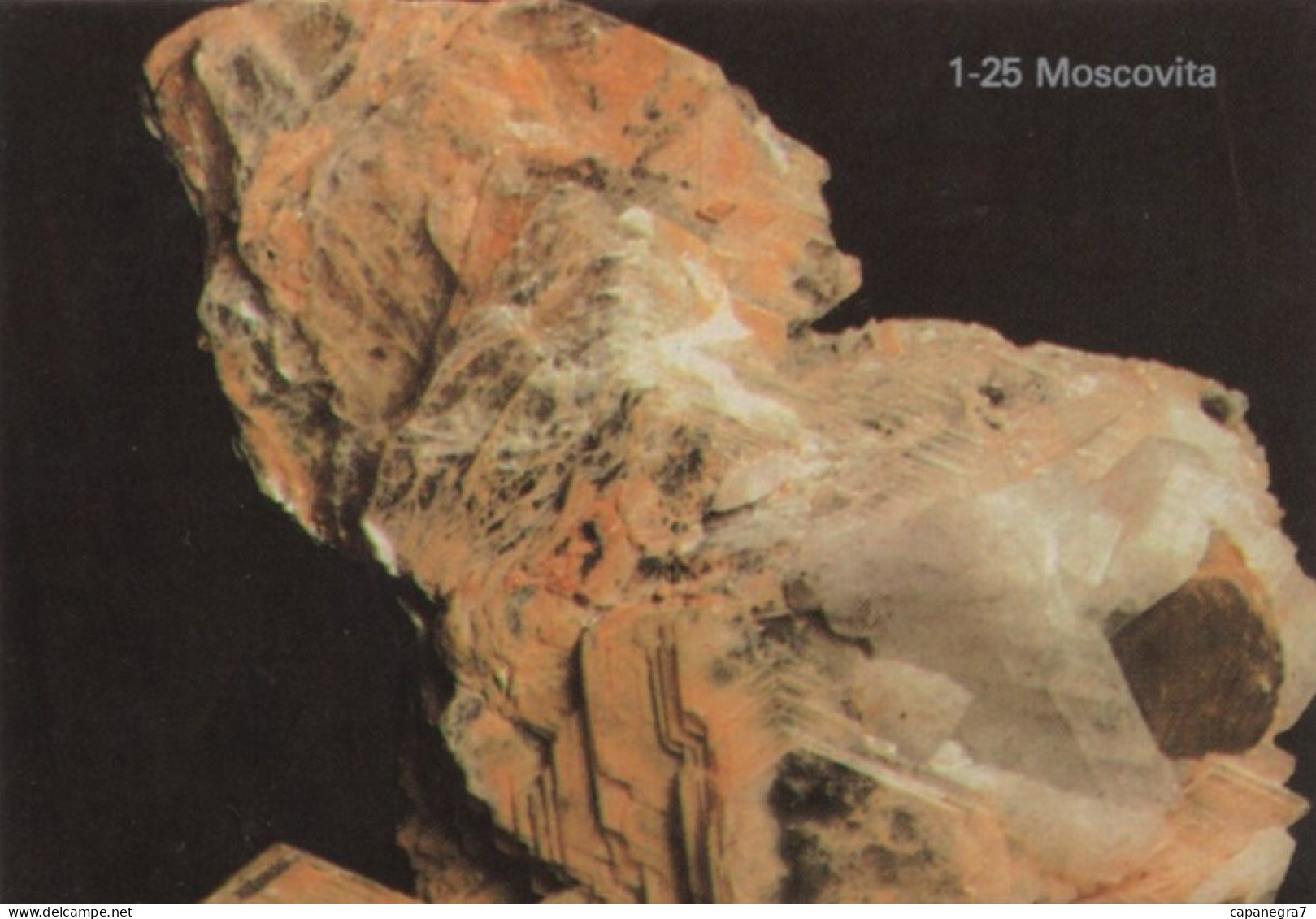 Muskovite, Mineral, Portugal, 1989, 90 X 65 Mm - Grand Format : 1981-90