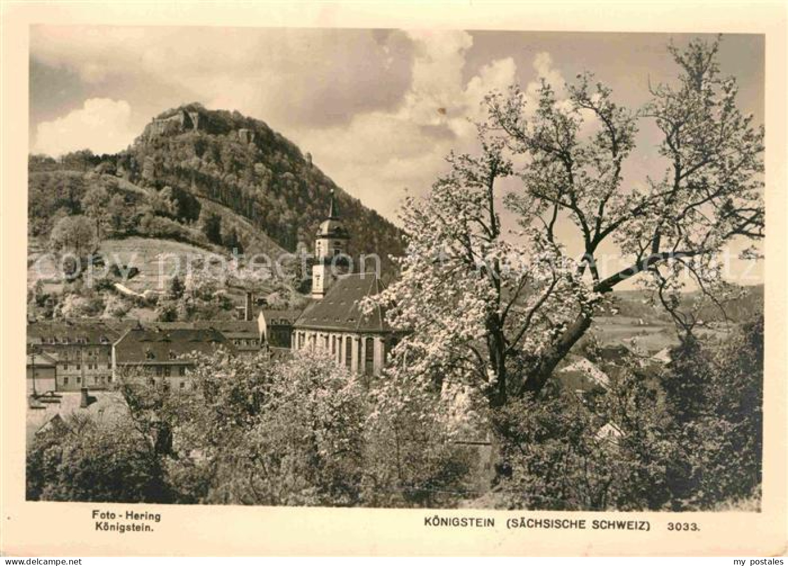 72925113 Koenigstein Saechsische Schweiz Kirche Koenigstein Saechsische Schweiz - Königstein (Sächs. Schw.)