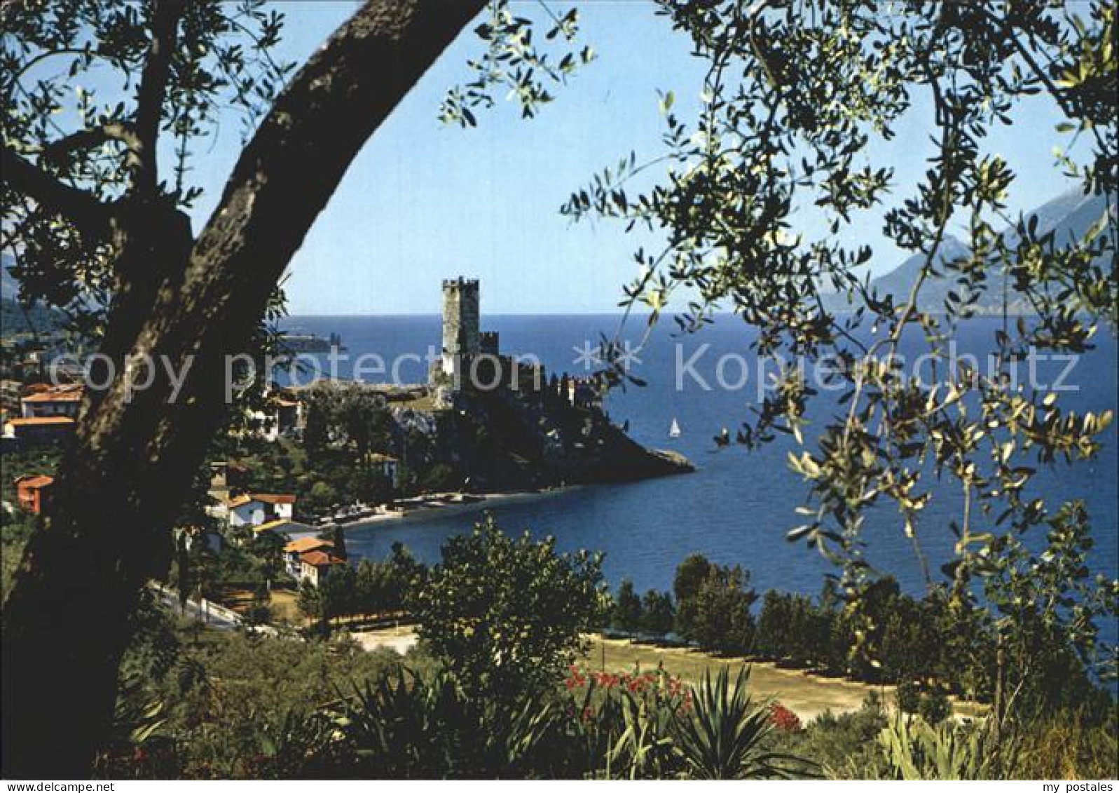 72923194 Malcesine Lago Di Garda Panorama Schloss Gardasee Malcesine - Other & Unclassified