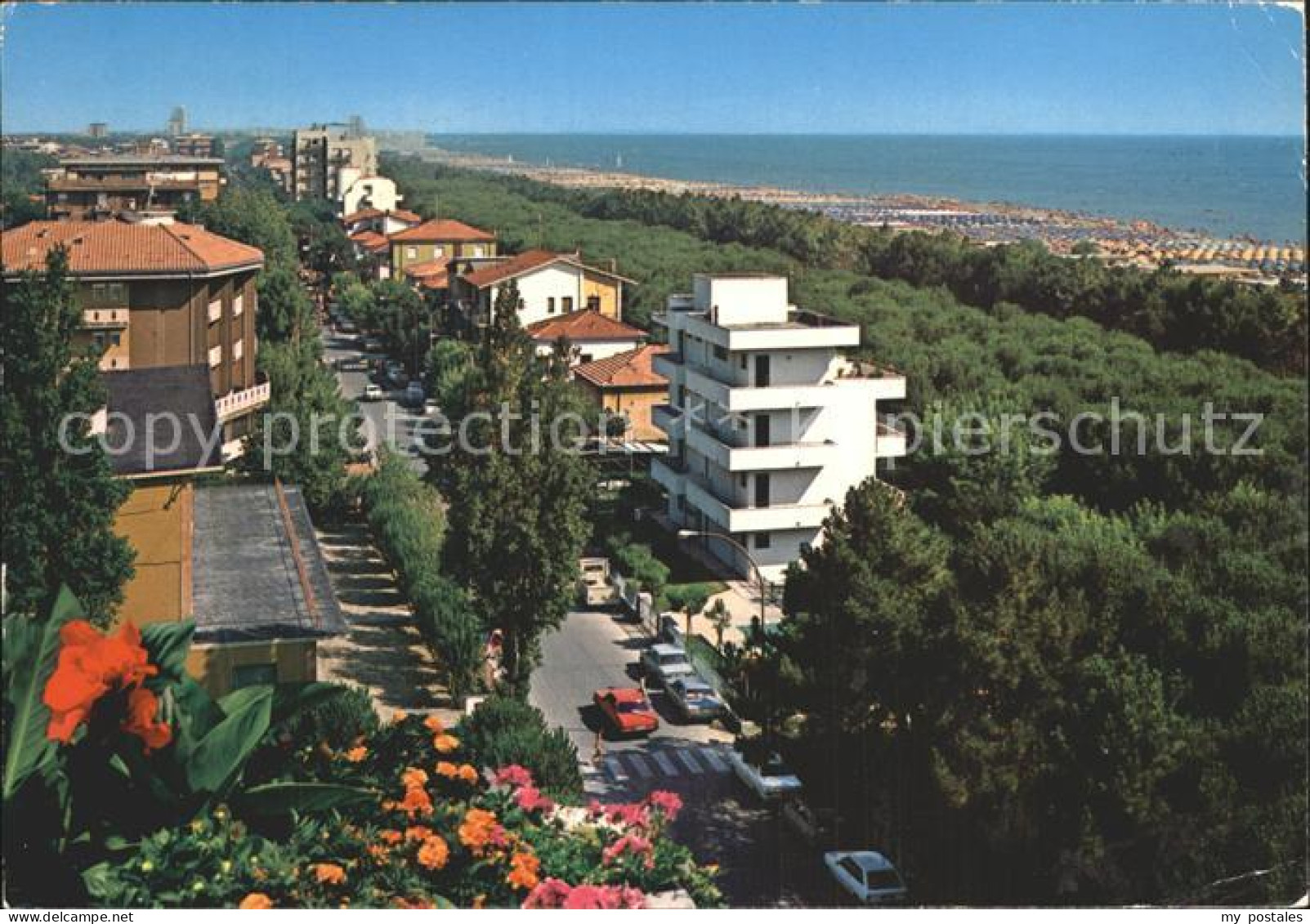 72923177 Pinarella Di Cervia Lungomare E Pineta Promenade Pinienhain Pinarella D - Other & Unclassified