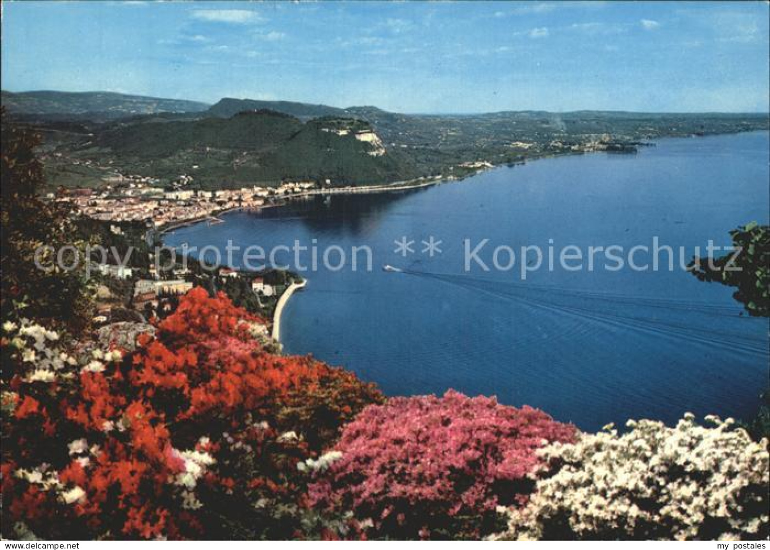 72923148 Garda Lago Di Garda Golf Von Garda Gardasee Blumen Garda Lago Di Garda - Other & Unclassified