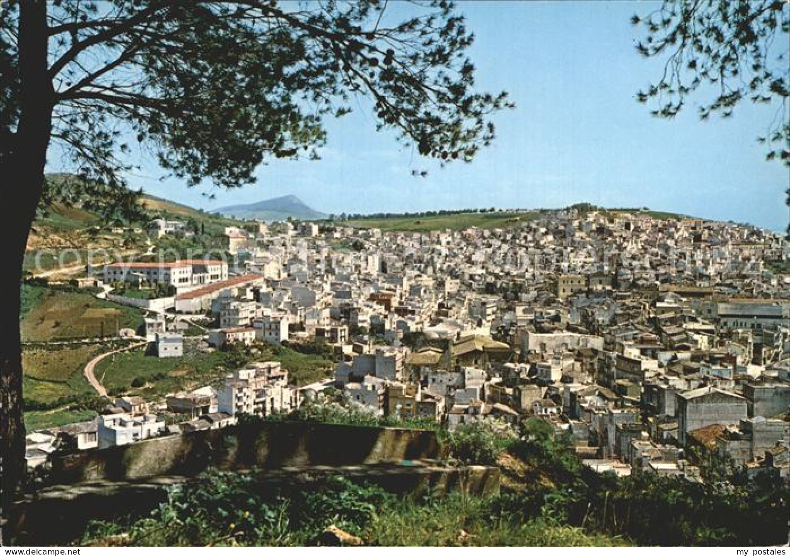 72923110 Calatafimi Segesta Panorama Calatafimi Segesta - Autres & Non Classés