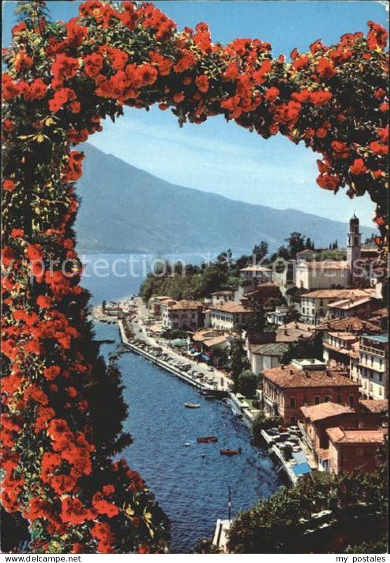 72923099 Limone Sul Garda Panorama Gardasee Rosenbusch Limone Sul Garda - Andere & Zonder Classificatie