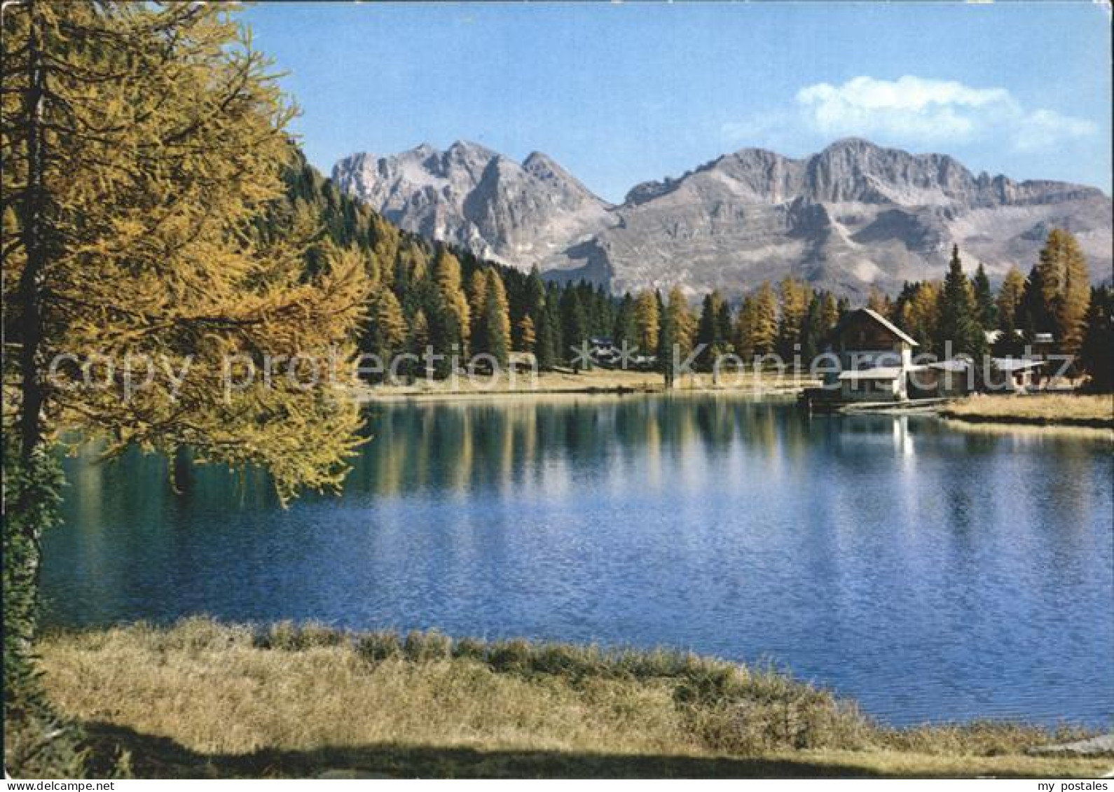 72923094 Madonna Di Campiglio Dolomiti Di Brenta Lago Nambino Veduta D Autunno H - Sonstige & Ohne Zuordnung