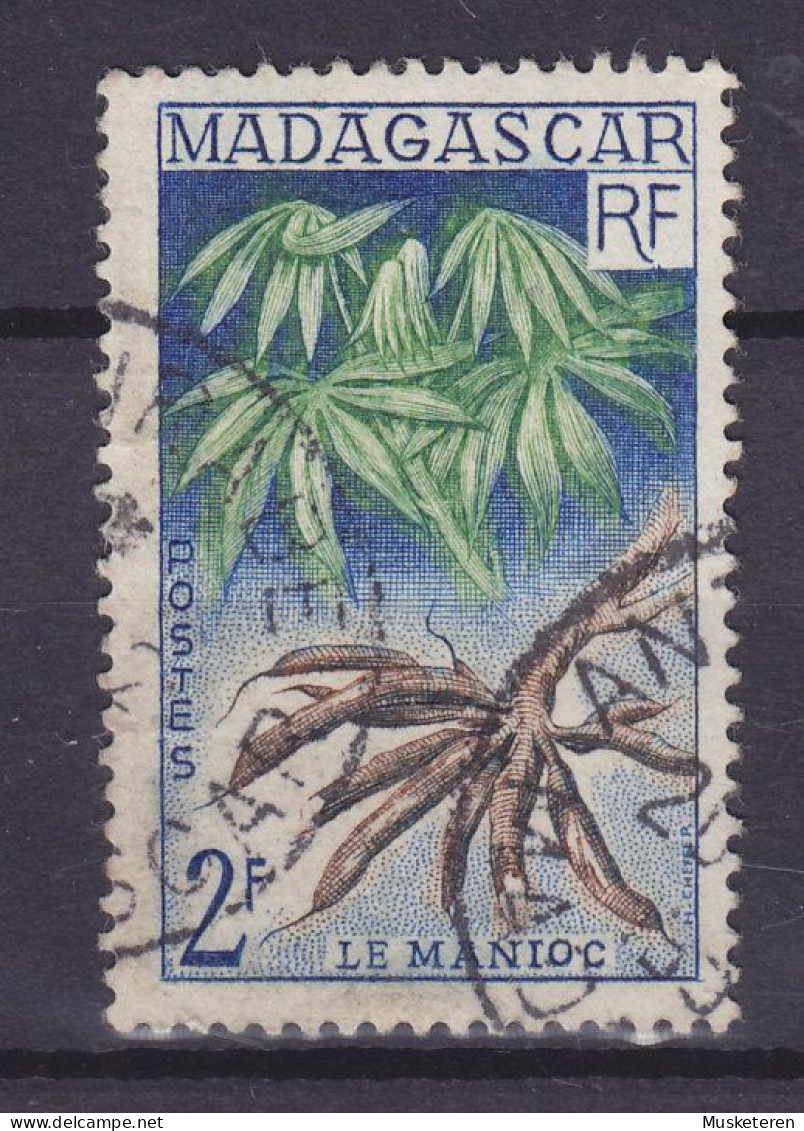 Madagascar 1957 Mi. 436, 2 Fr. Maniok Fruit Früchte - Madagascar (1960-...)