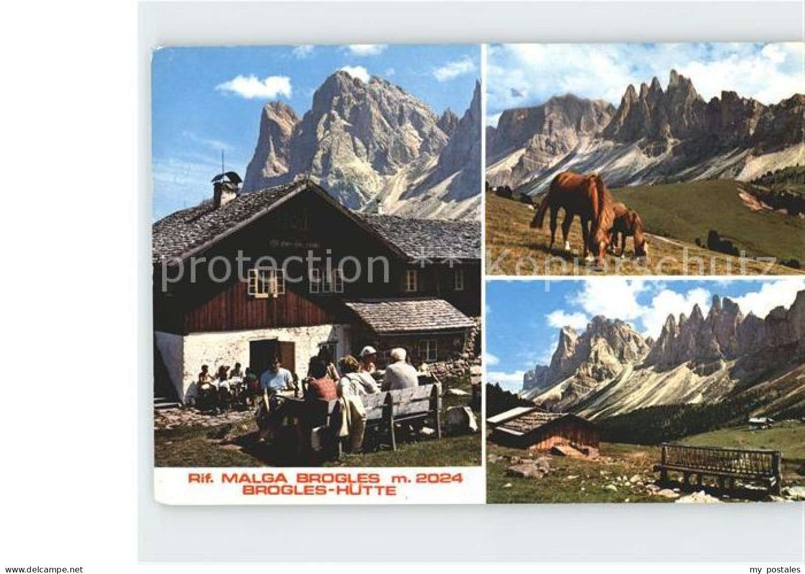 72921723 Brogleshuette Rifugio Malga Brogles Pferd  Brogleshuette Rifugio - Other & Unclassified