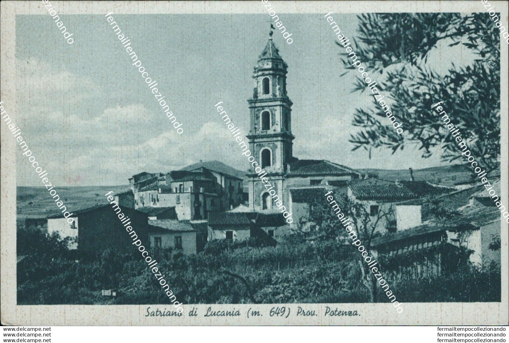 Az574  Cartolina Satriano Di Lucania Provincia Di Potenza - Potenza