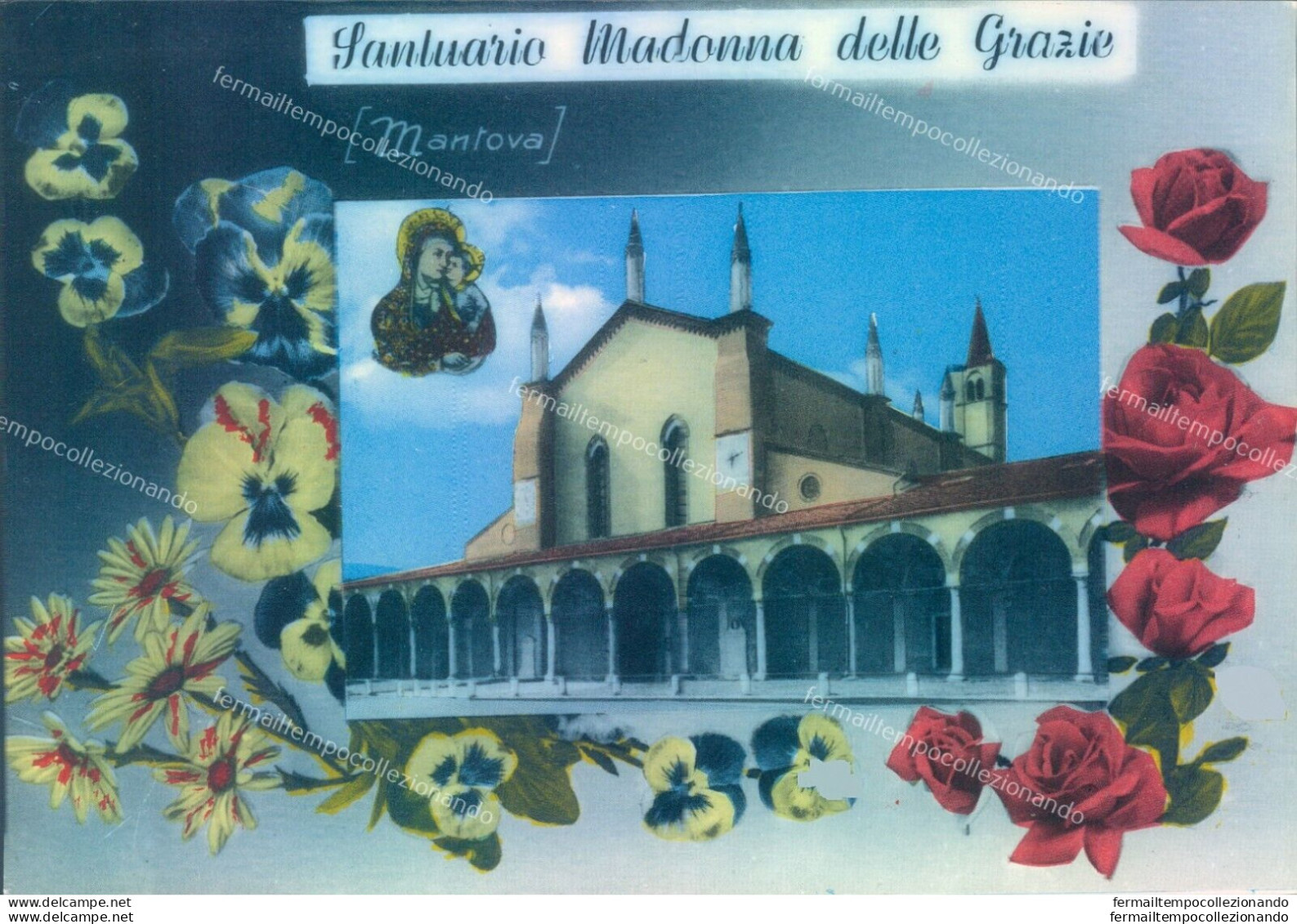 P34 Cartolina Mantova Citta'  Mantova Santuario Madonna Delle Grazie - Mantova