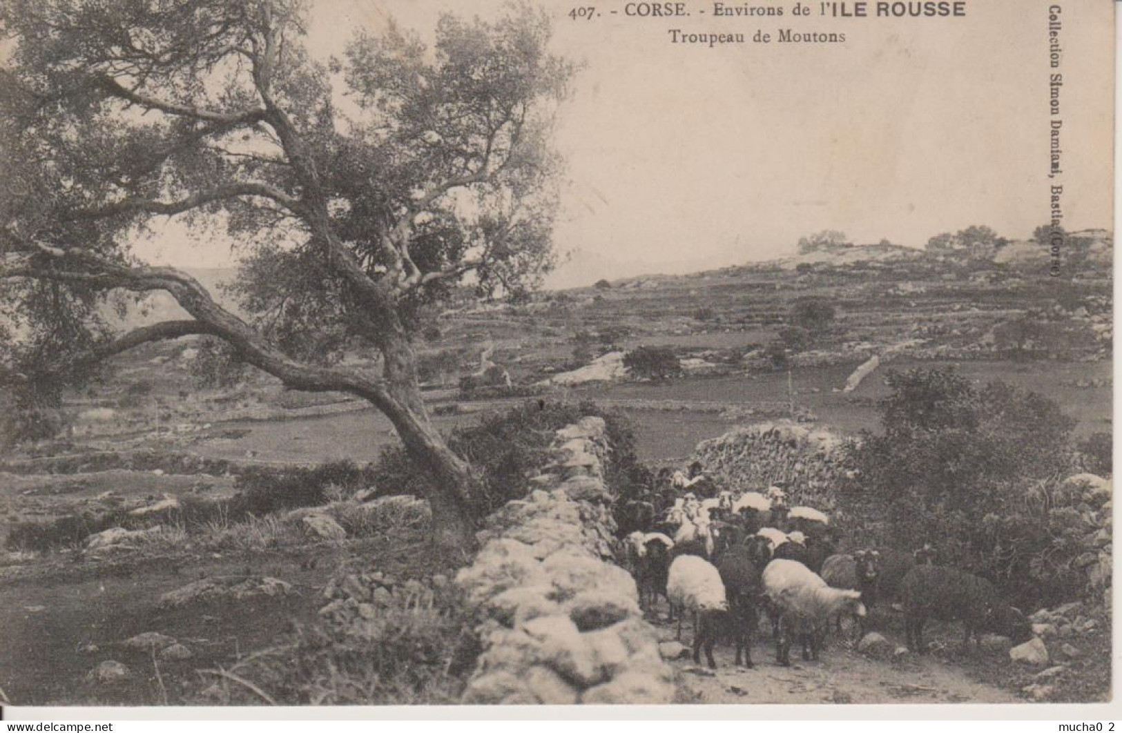 ENVIRONS DE L'ILE ROUSSE - TROUPEAU DE MOUTONS - Otros & Sin Clasificación