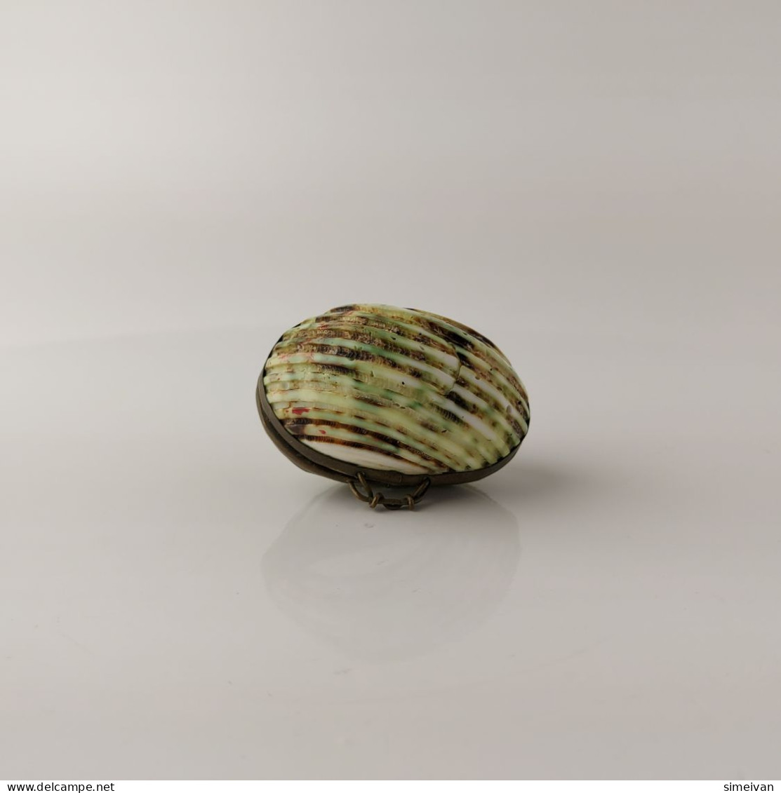 Vintage Clam Sea Shell Brass Mounted Hinged Pill Trinket Purse Ring Box #5570 - Medisch En Tandheelkundig Materiaal