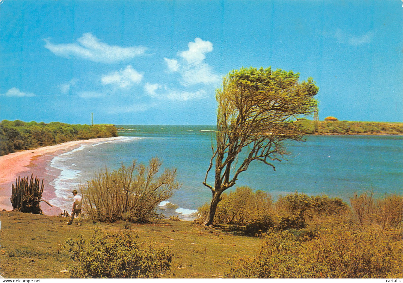 972-MARTINIQUE-N°3823-C/0197 - Other & Unclassified