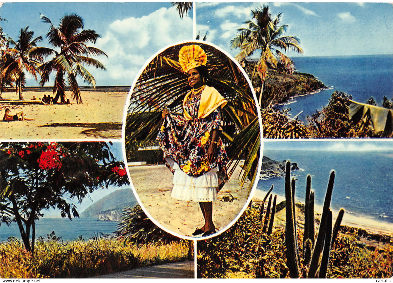 971-GUADELOUPE-N°3823-C/0043 - Other & Unclassified