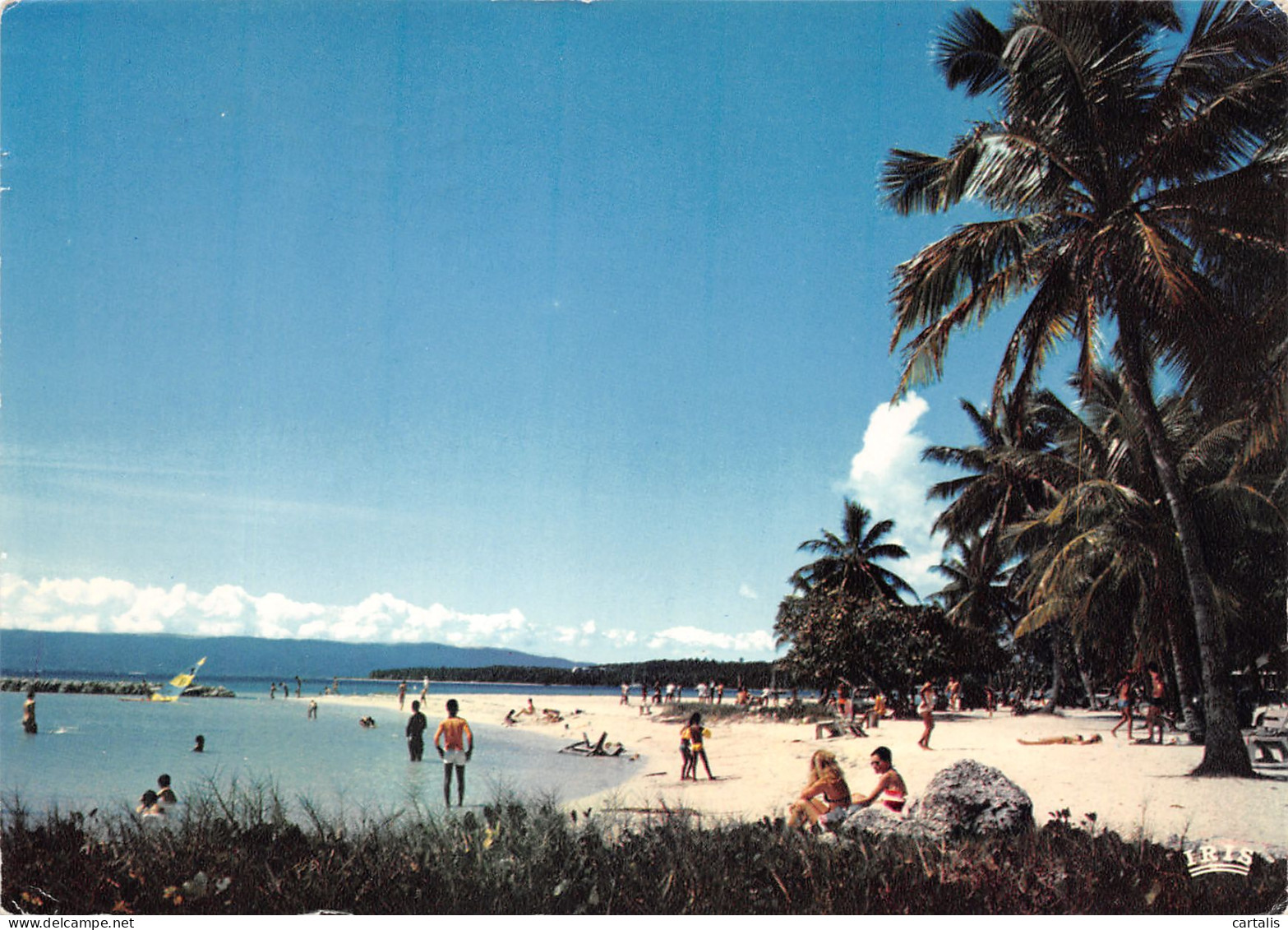 971-GUADELOUPE-N°3823-C/0015 - Andere & Zonder Classificatie