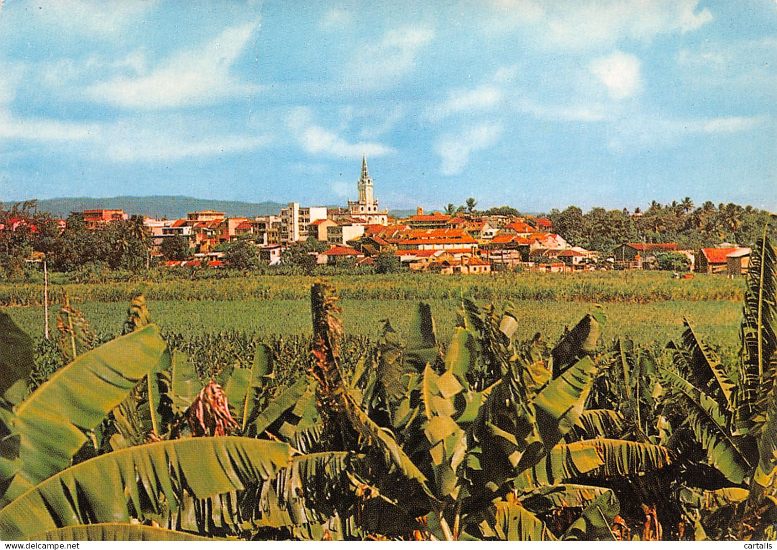 972-MARTINIQUE-N°3823-C/0023 - Andere & Zonder Classificatie