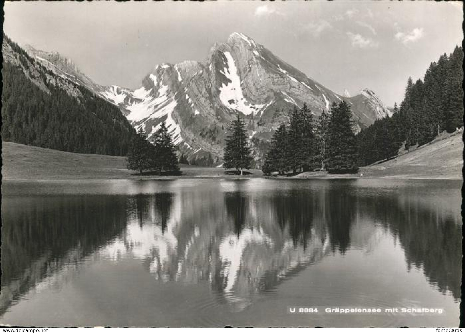 11337359 Alt St Johann Schafberg Graeppelensee Alt St Johann - Otros & Sin Clasificación