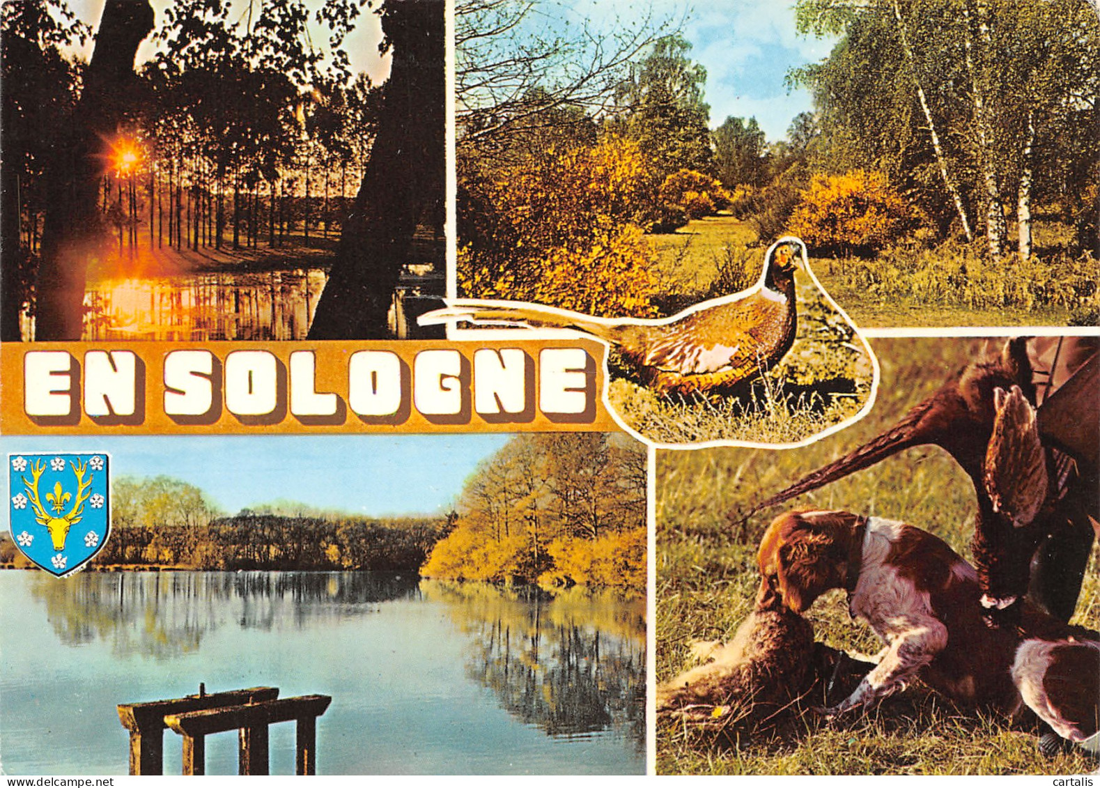 41-EN SOLOGNE-N°3823-D/0259 - Andere & Zonder Classificatie