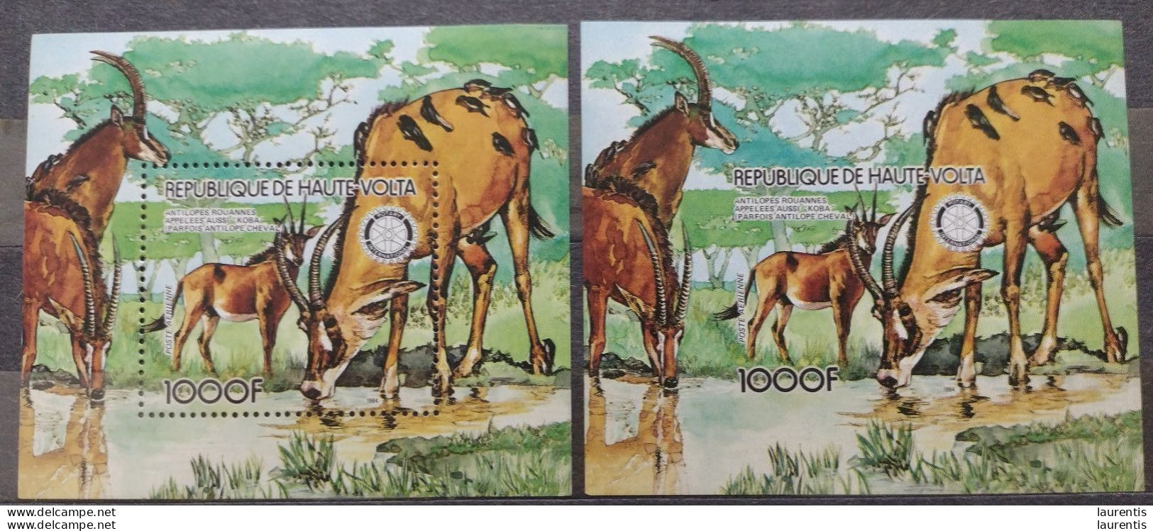 D7659  African Fauna - Mammals - Haute Volta MNH - Perforated & Imperforated - 4,85 - Other & Unclassified