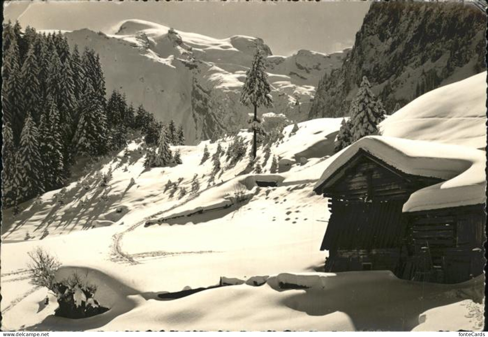 11337317 Engelberg OW Skigebiet Gerschnialp Engelberg Mit Titlis Engelberg - Altri & Non Classificati