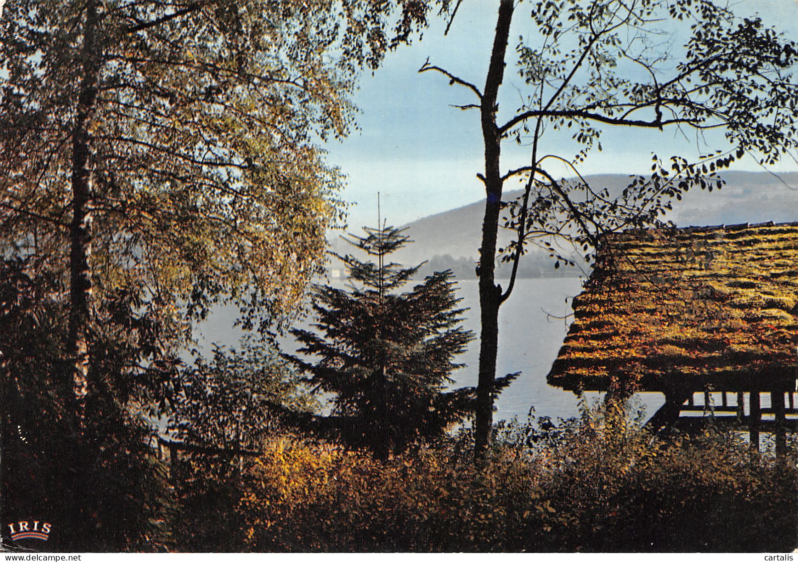 88-LAC DE GERARDMER-N°3824-C/0193 - Sonstige & Ohne Zuordnung