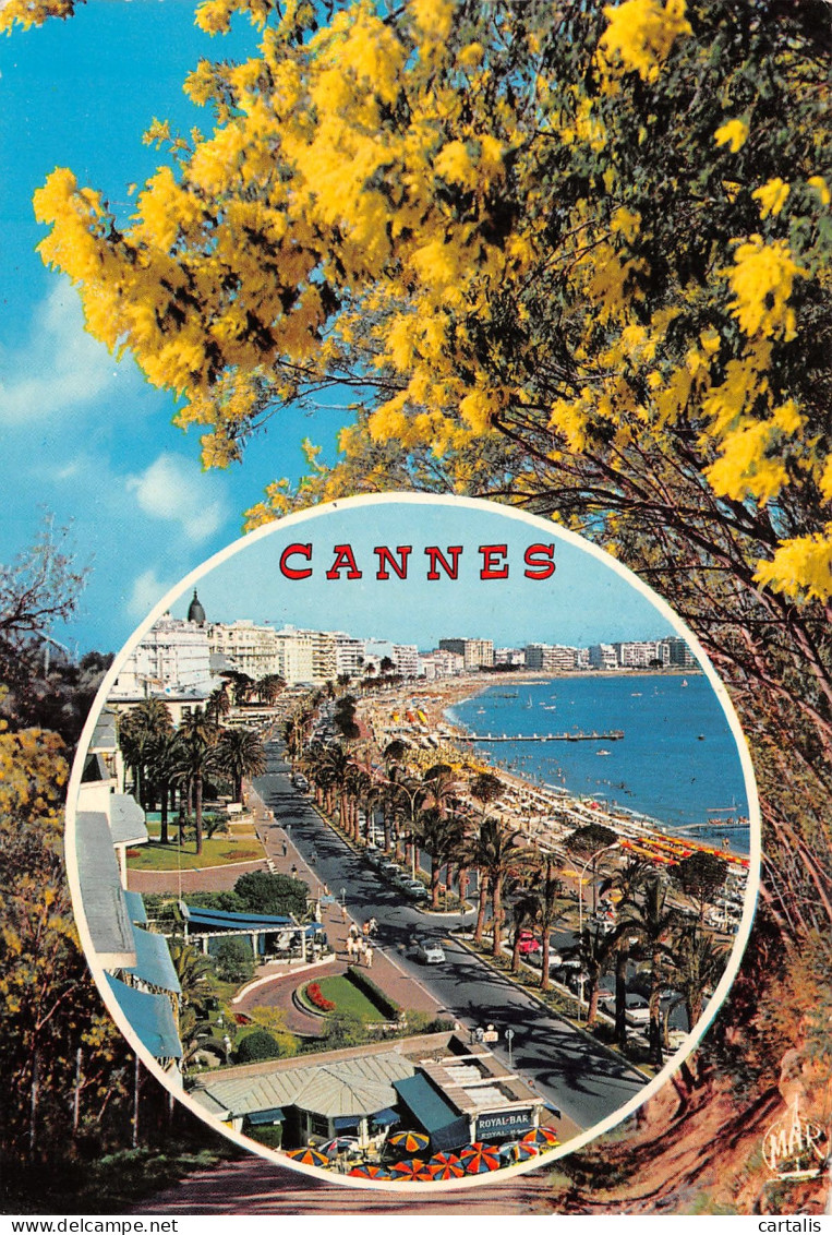 06-CANNES-N°3824-B/0373 - Cannes