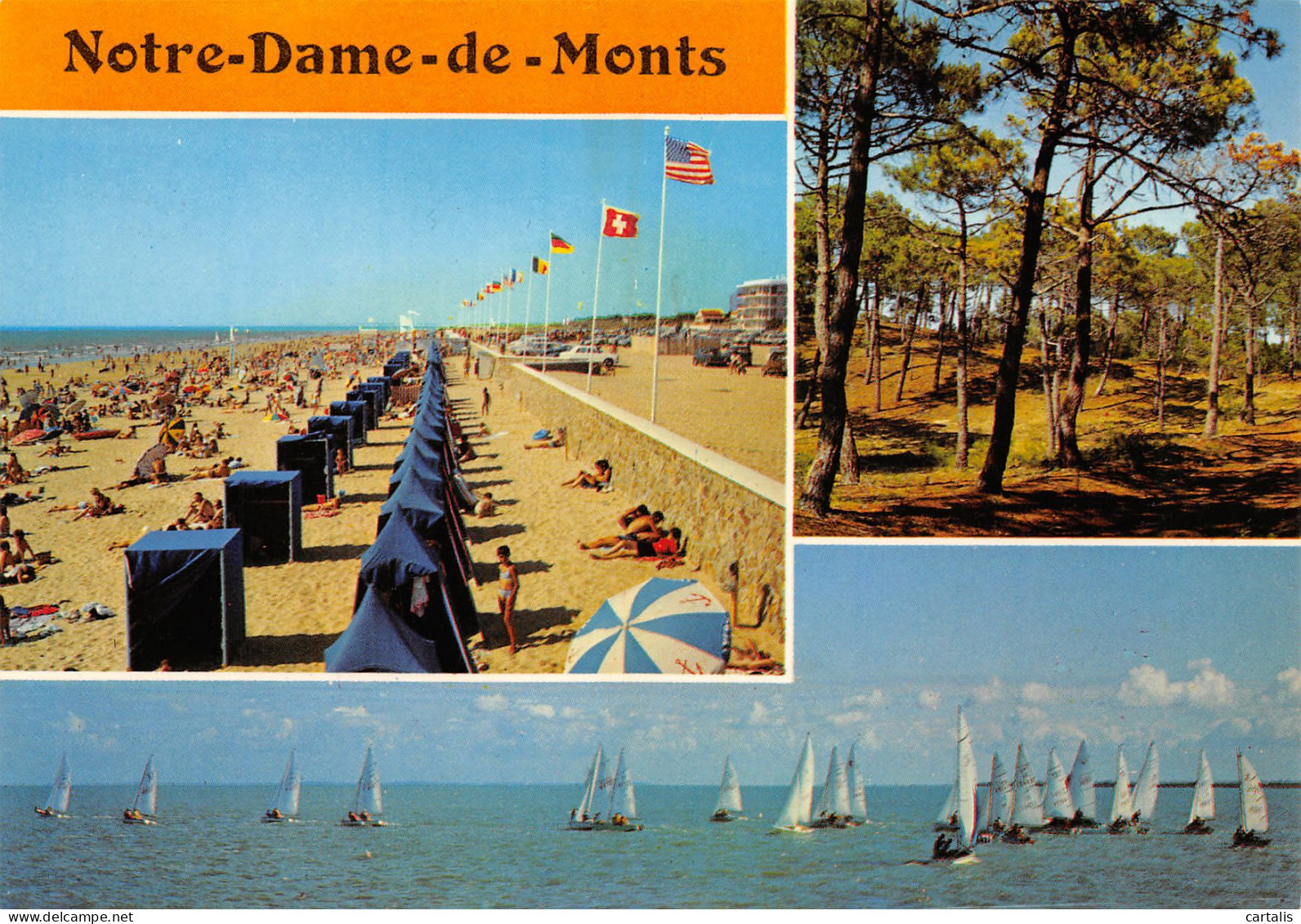 85-NOTRE DAME DE MONTS-N°3824-B/0273 - Andere & Zonder Classificatie