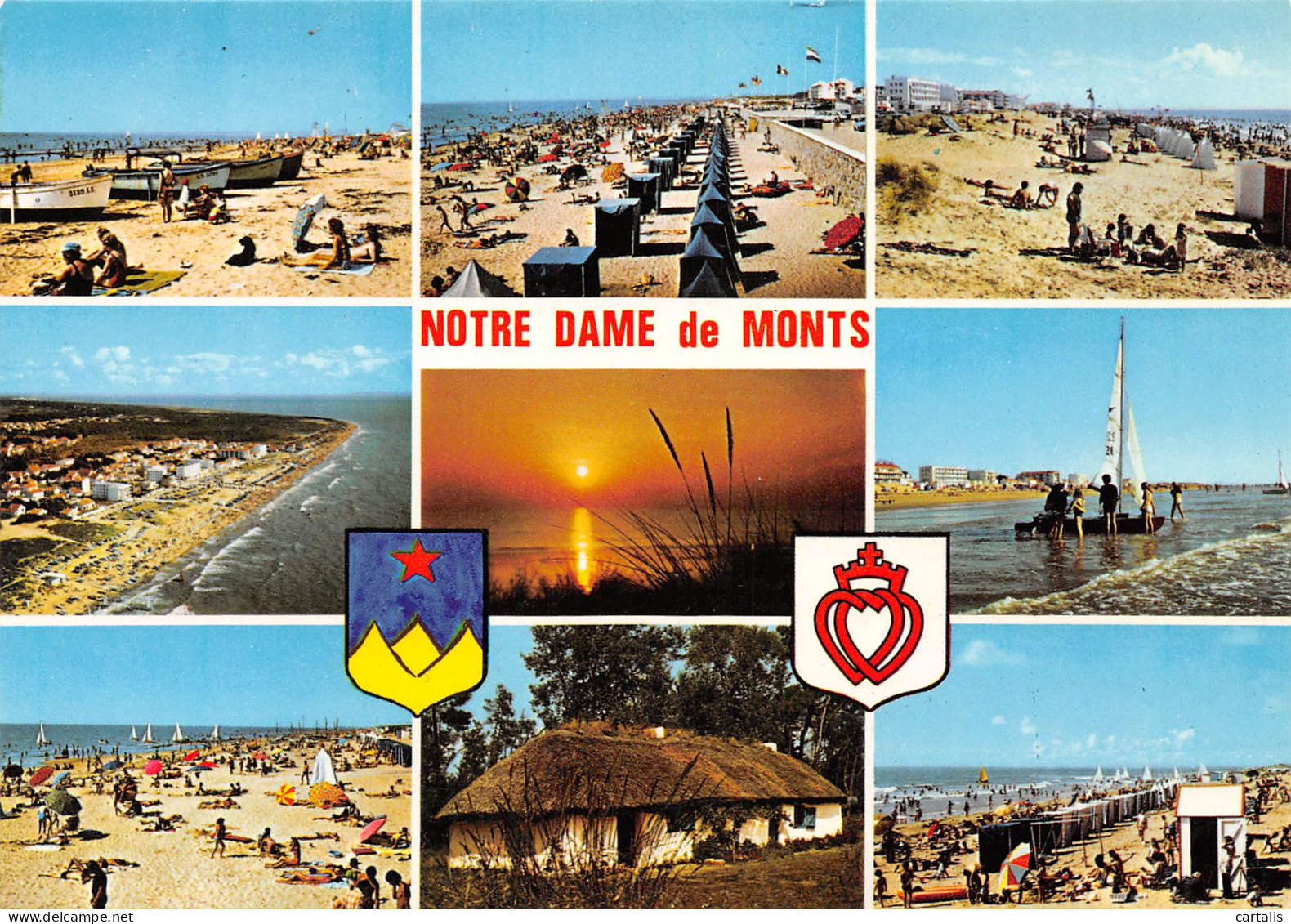 85-NOTRE DAME DE MONTS-N°3824-B/0271 - Andere & Zonder Classificatie