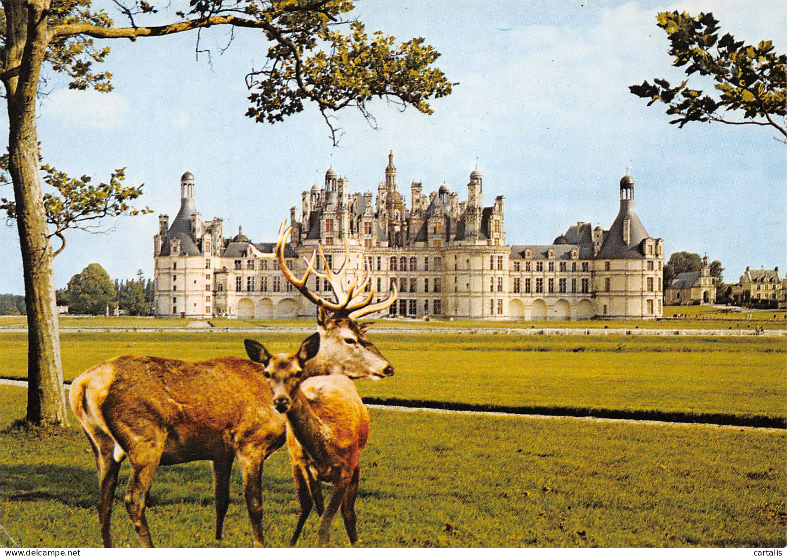 41-CHAMBORD-N°3824-B/0217 - Chambord