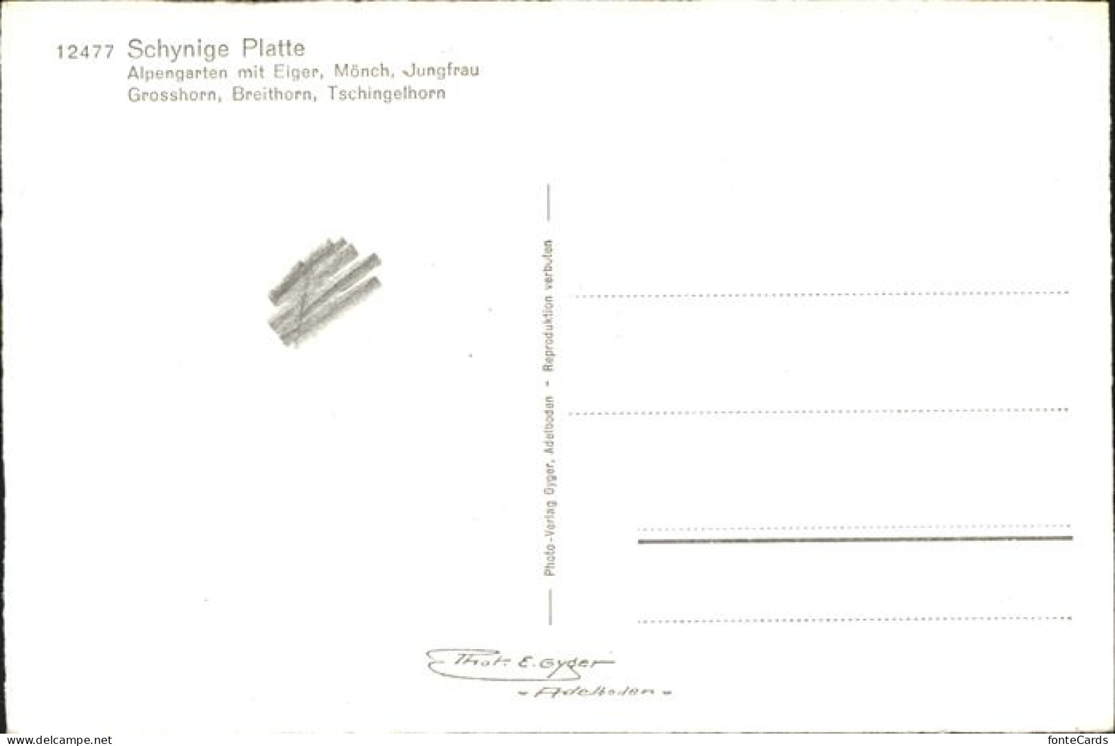 11337302 Schynige Platte Alpengarten Mit Alpenpanorama Schynige Platte - Autres & Non Classés