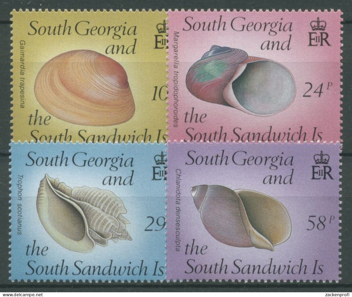 Südgeorgien 1988 Meerestiere Schnecken Und Muscheln 168/71 Postfrisch - South Georgia