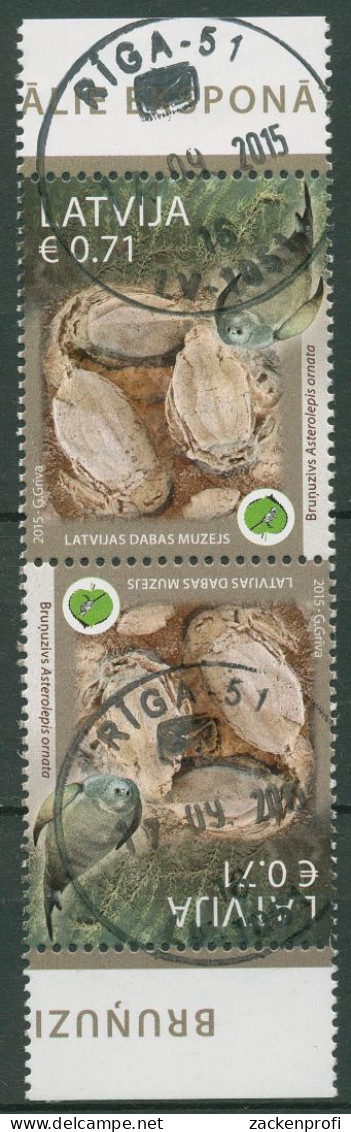 Lettland 2015 Naturhistorisches Museum Fossilien Kehrdruckpaar 939 KD Gestempelt - Lettland