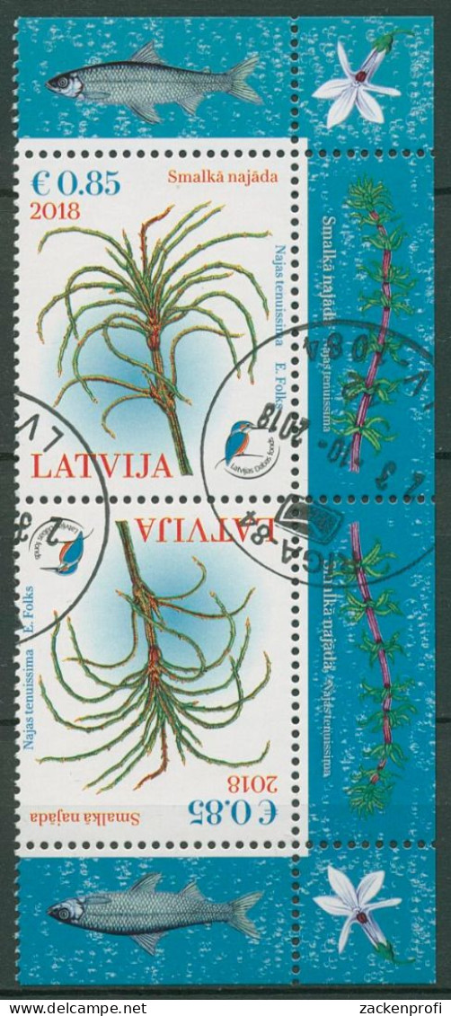 Lettland 2018 Pflanzen Blumen Nixenkraut Kehrdruckpaar 1052 KD Gestempelt - Lettonie